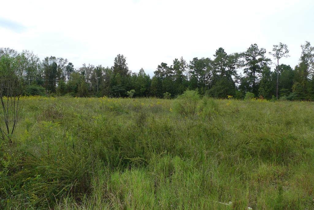 0 Hwy 321 - Photo 1