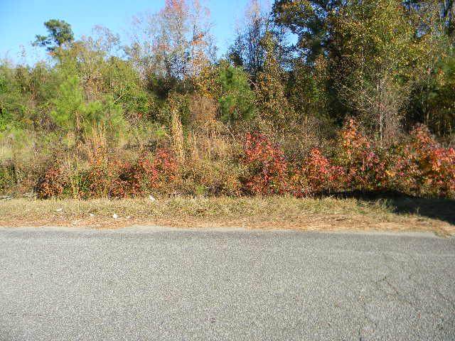 927 Rodney Road - Photo 1