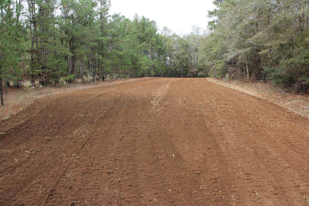 Waters Ferry Rd - Photo 1