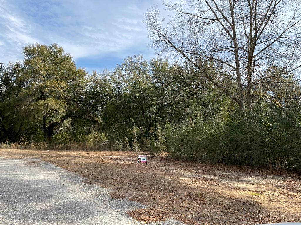 230 Harvey Lane - Photo 1