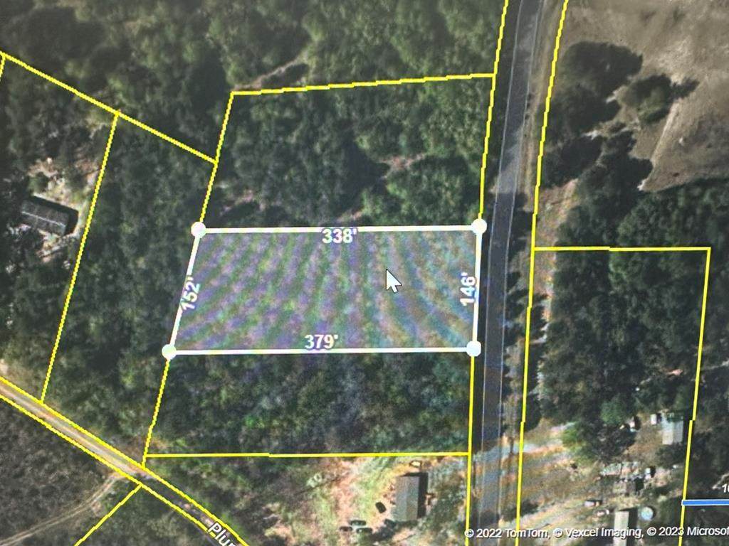 0 Plum Tree Rd - Photo 1