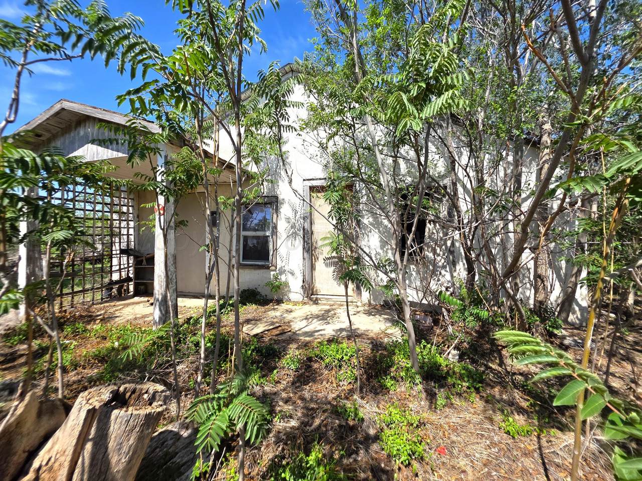 1030 Clark St - Photo 1