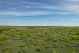  Tracts 1-14 Co Rd N - Photo 11