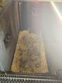 720 Brown St - Photo 10