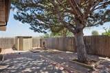1920 Holly Ln - Photo 35
