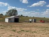 6431 Sitter St - Photo 4