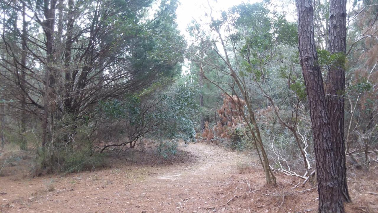 20 acs Boggs Road - Photo 1