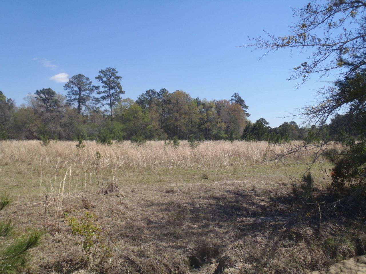 TBD Gotcha Road - Photo 1 TBD Gotcha Road - Photo 1