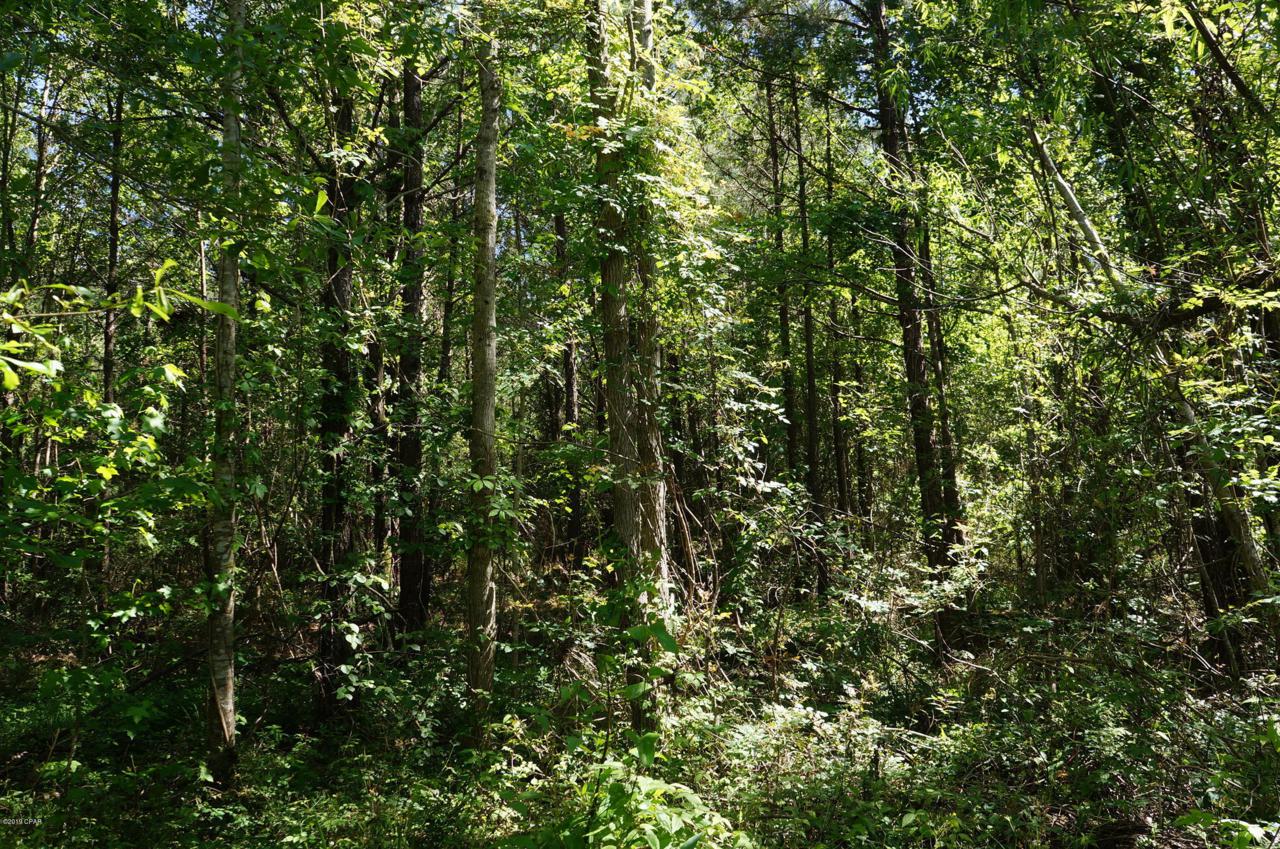 230 Walton County - Photo 1