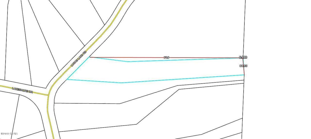 000 Lucas Lake Road - Photo 1