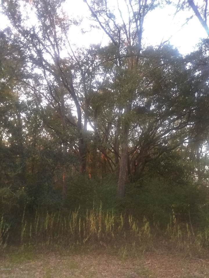 1330 State Park Road - Photo 1