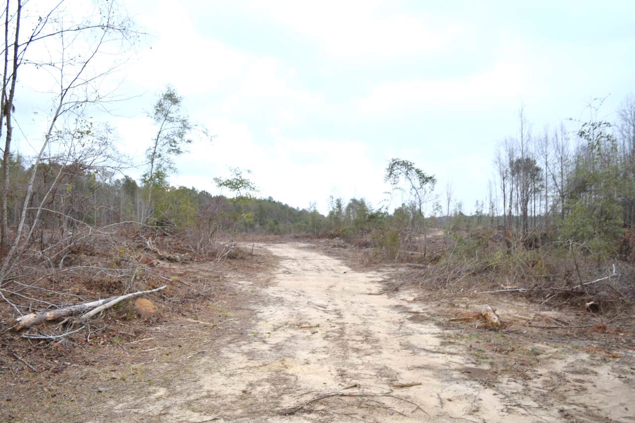 XXX Ten Mile Road - Photo 1