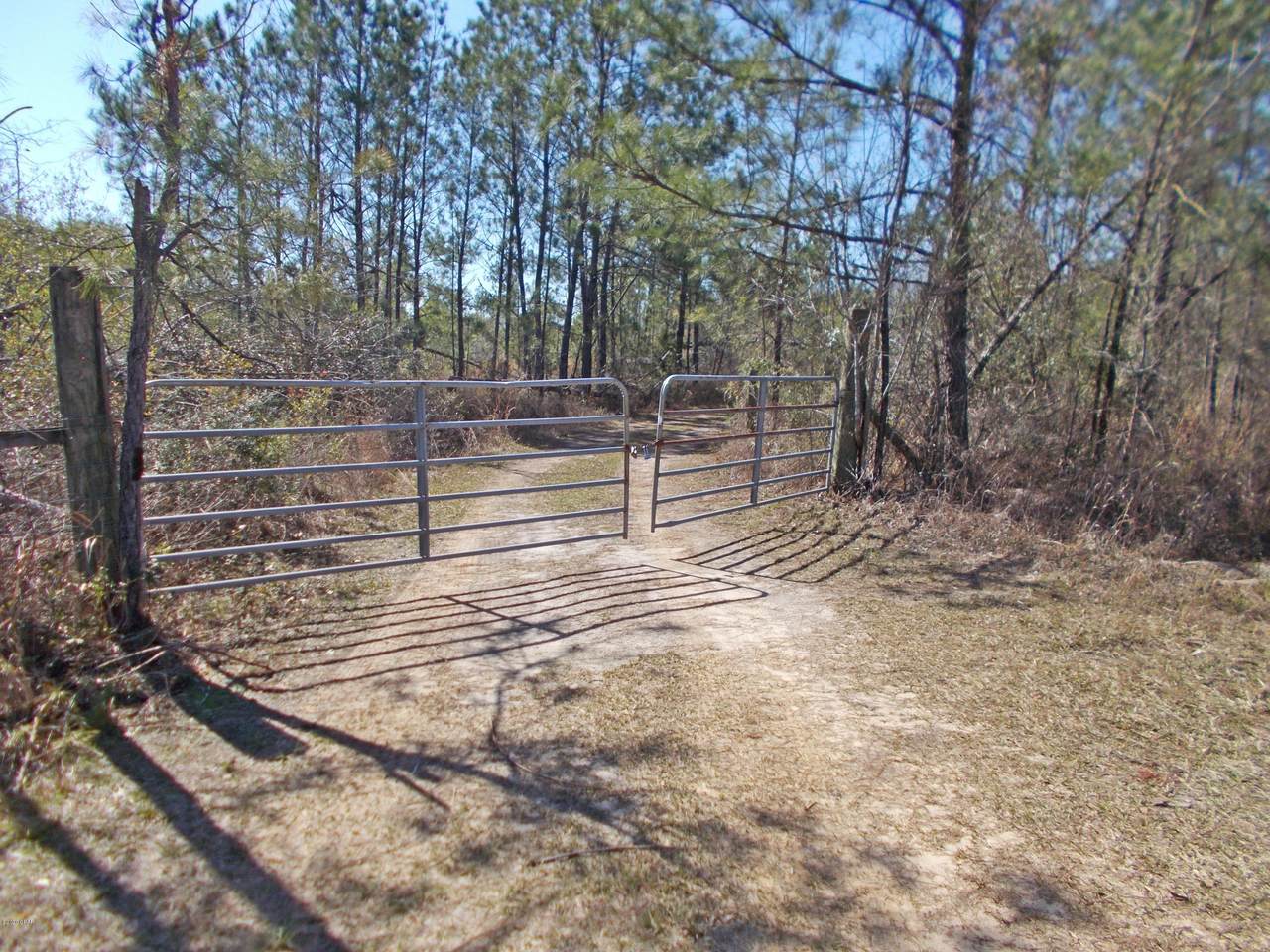 00 Old Spanish Trail - Photo 1