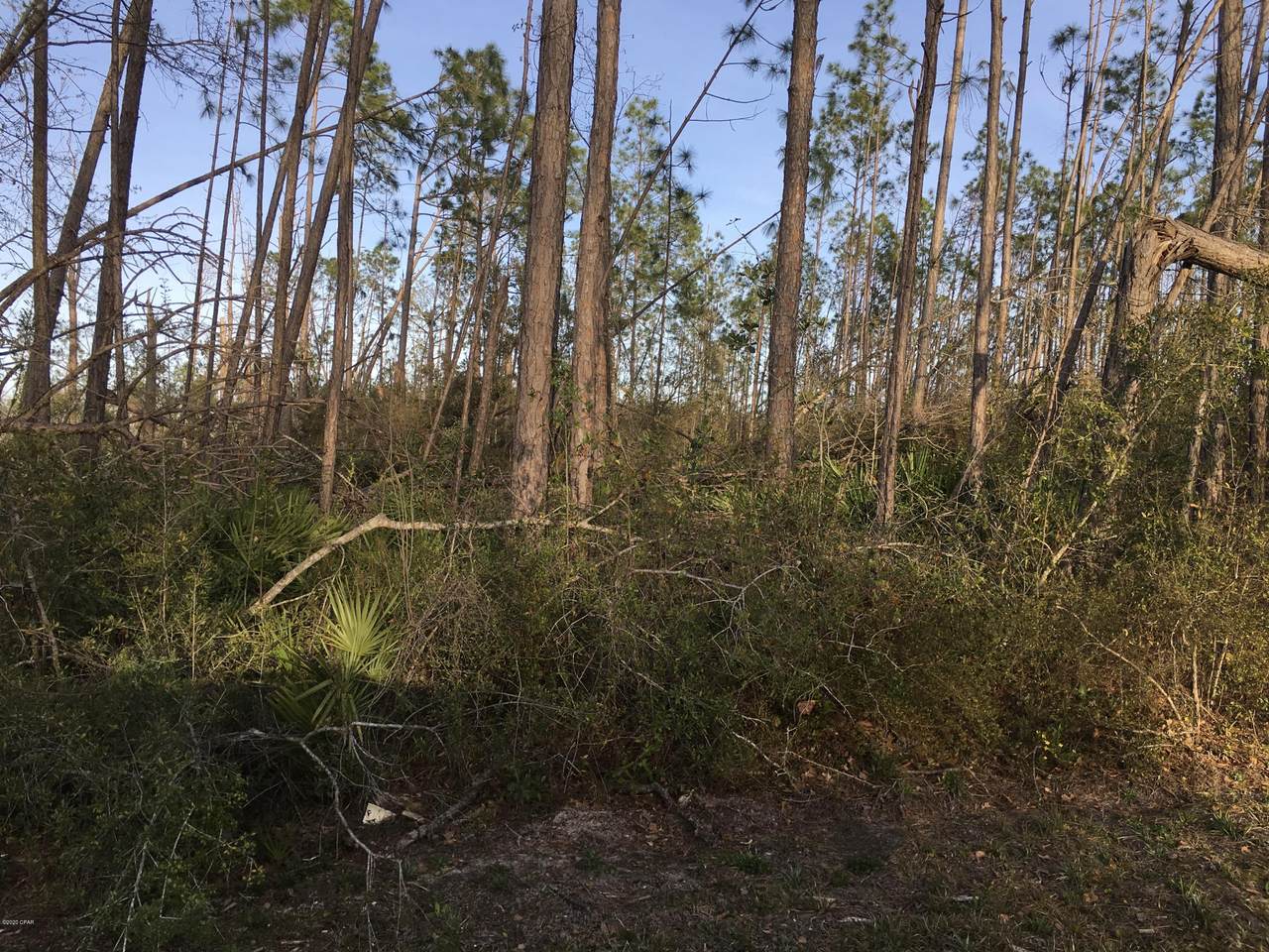 13220 Hwy 2301 - Photo 1