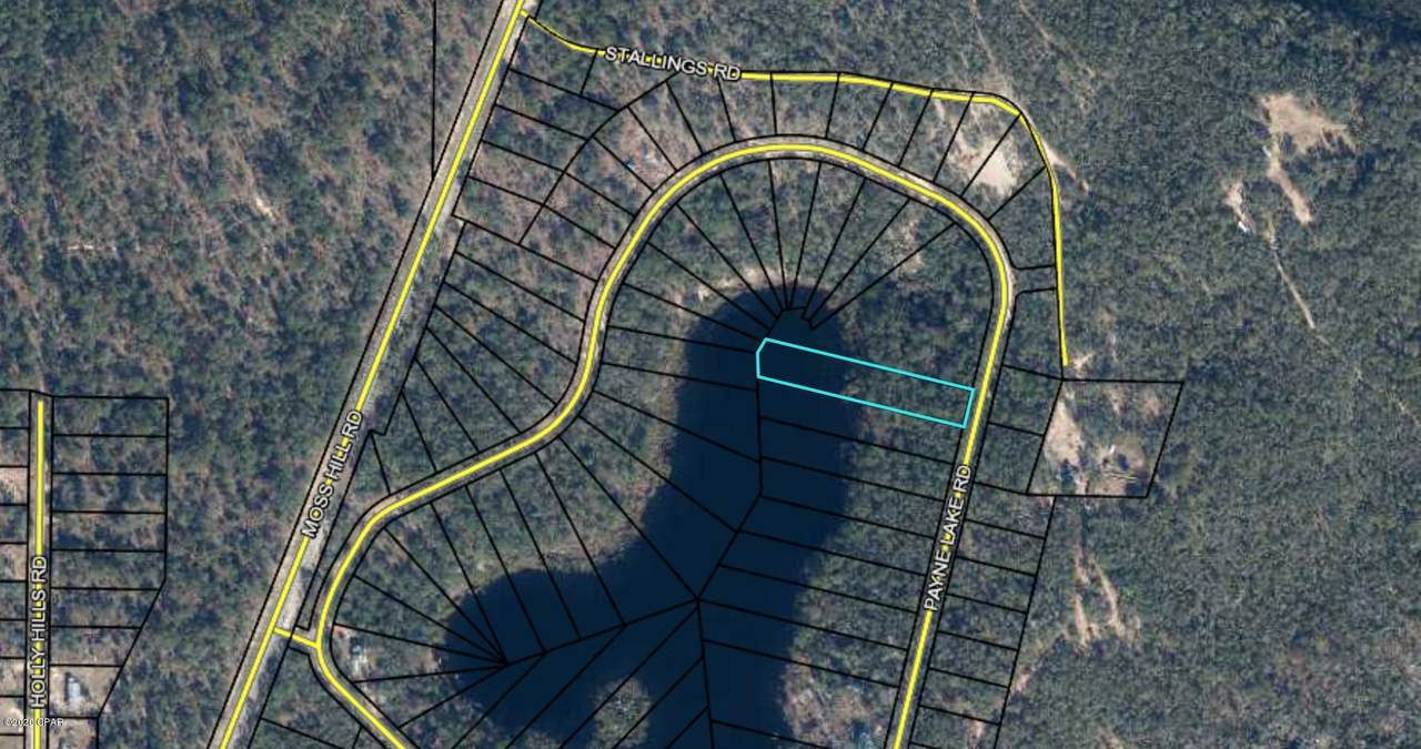 Lot 25 Payne Lake Road - Photo 1 Lot 25 Payne Lake Road - Photo 1
