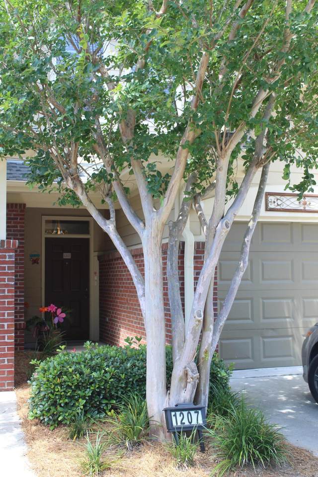 1207 Baldwin Rowe Circle - Photo 1 1207 Baldwin Rowe Circle - Photo 1