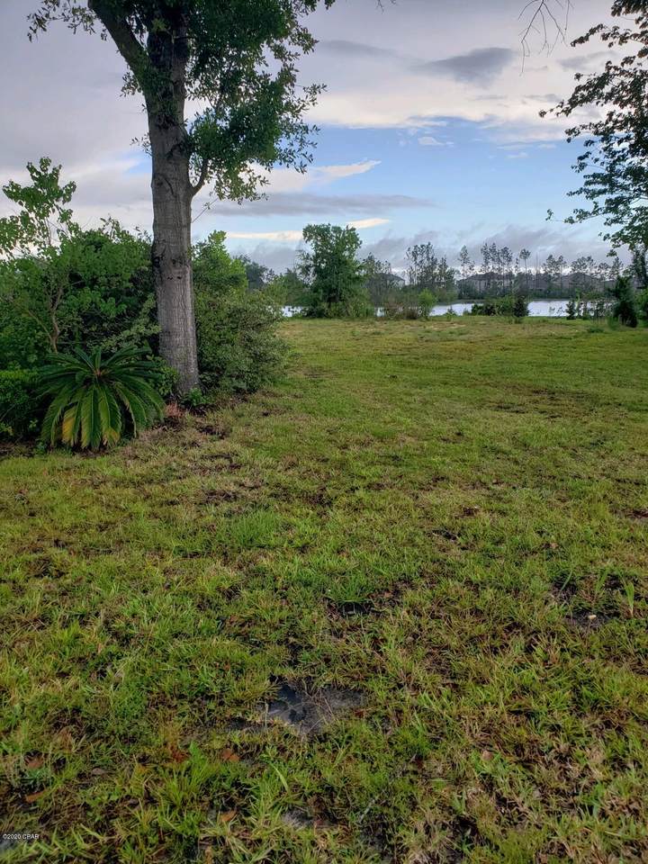 7318 Lake Joanna Drive - Photo 1