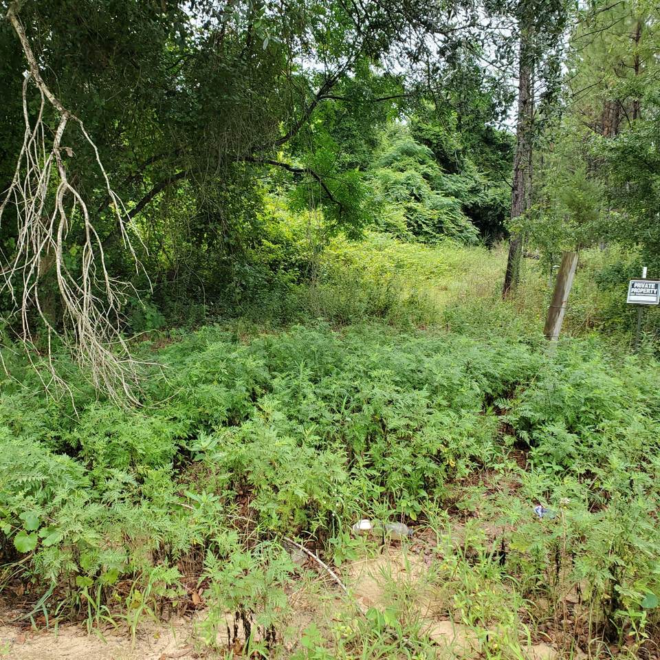 00 Tower Road - Photo 1