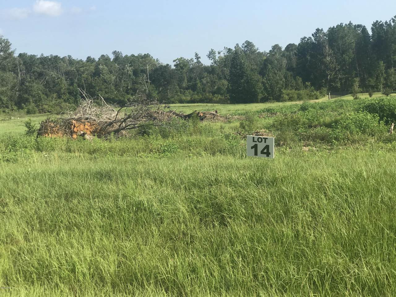 Lot 14 Madison Lane - Photo 1