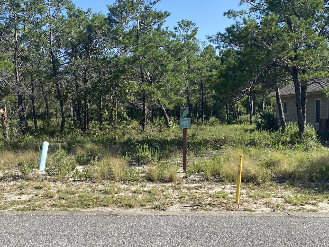 1536 Salamander Trail - Photo 1