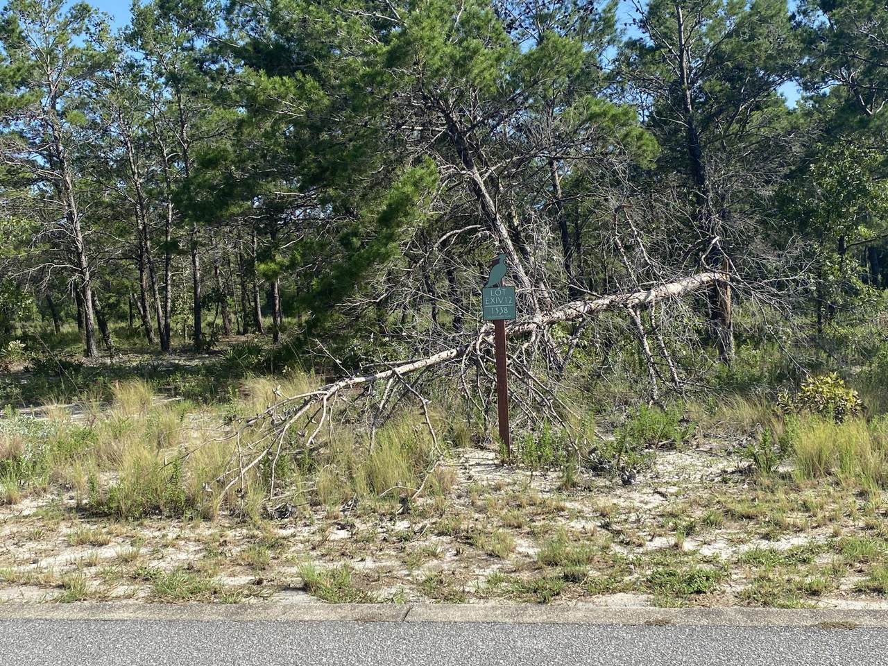 1538 Salamander Trail - Photo 1