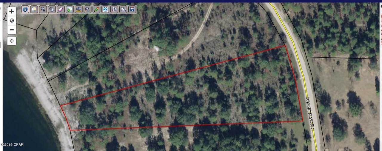 Lot 21 Grassy Pond Road - Photo 1