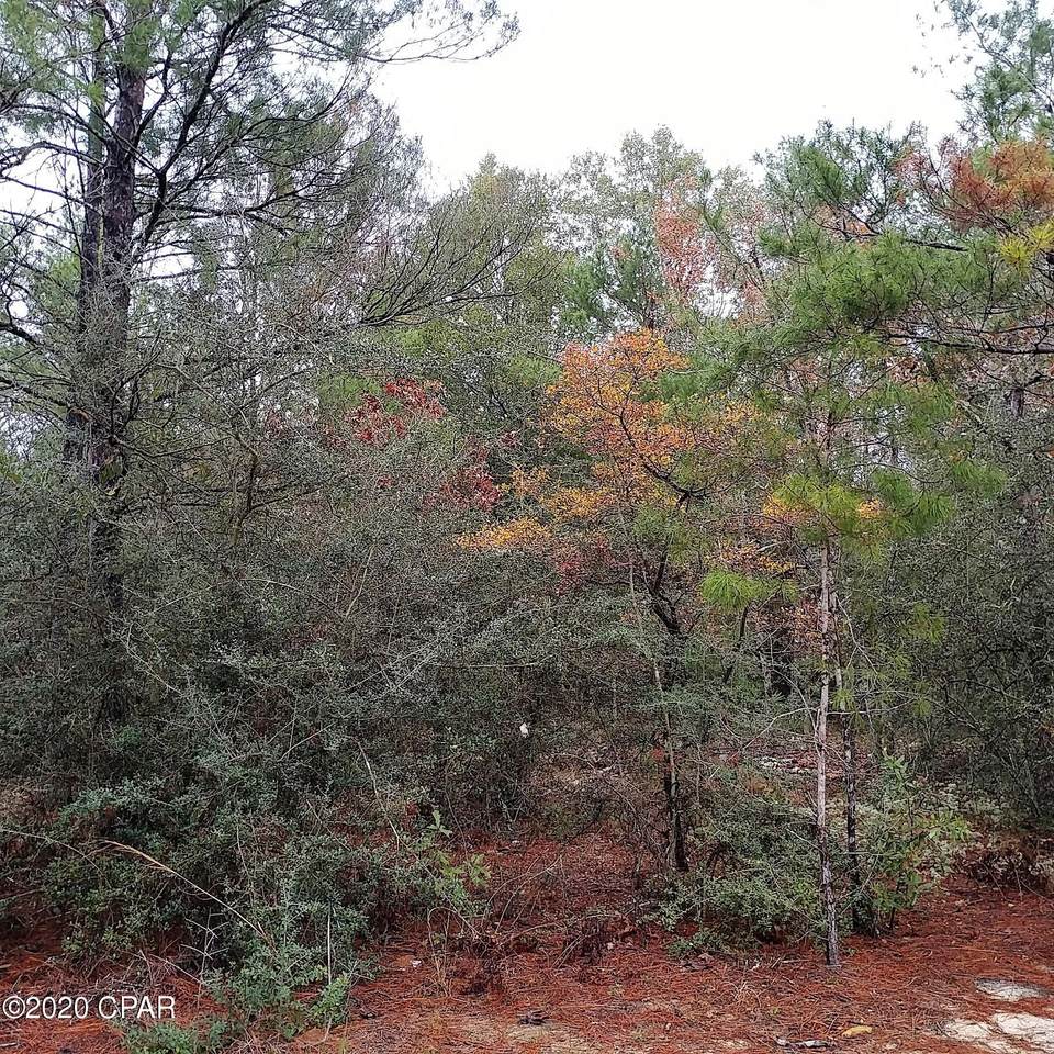 Lot 6 Forest Lane - Photo 1