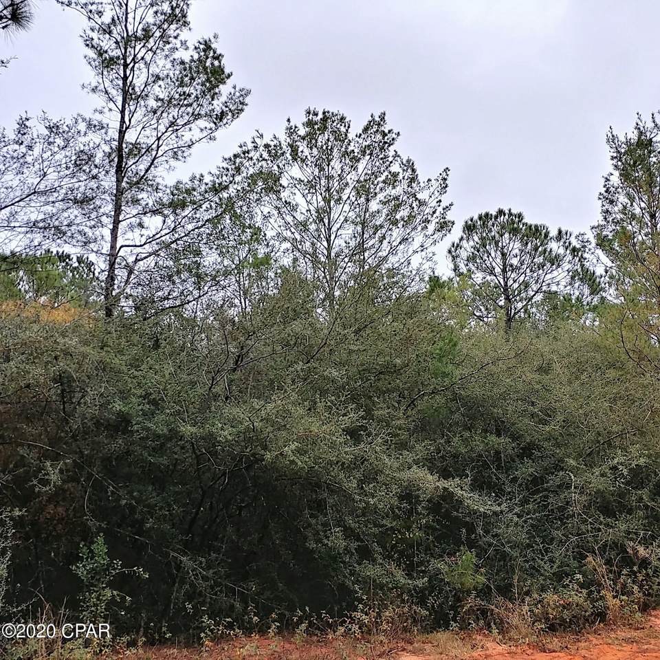 Lot 41 Clearwater Drive - Photo 1