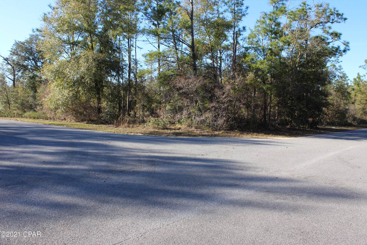 Lot B-155 Cardinal Place - Photo 1