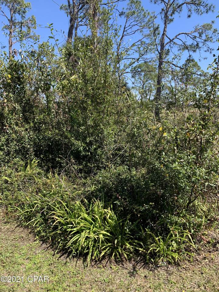 110 Cashel Mara - Photo 1