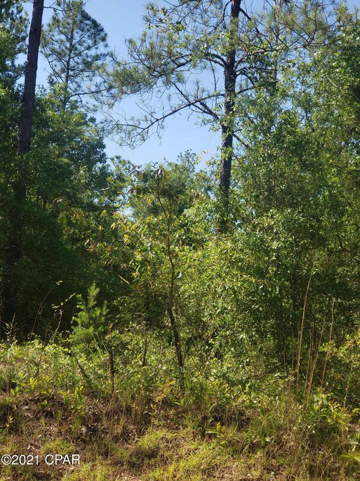 0 Holly Springs Avenue - Photo 1