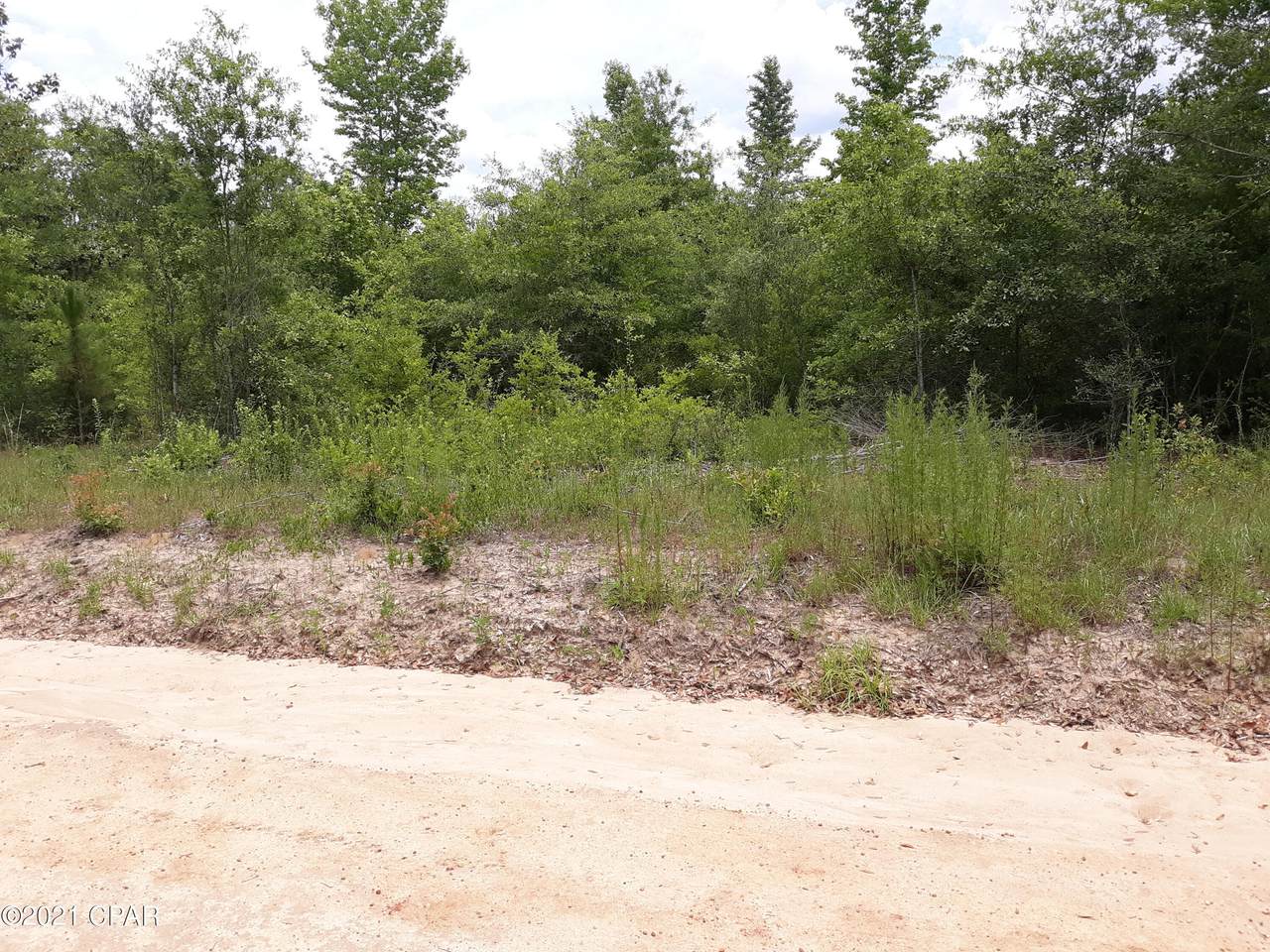 3088 Swaills Trail - Photo 1