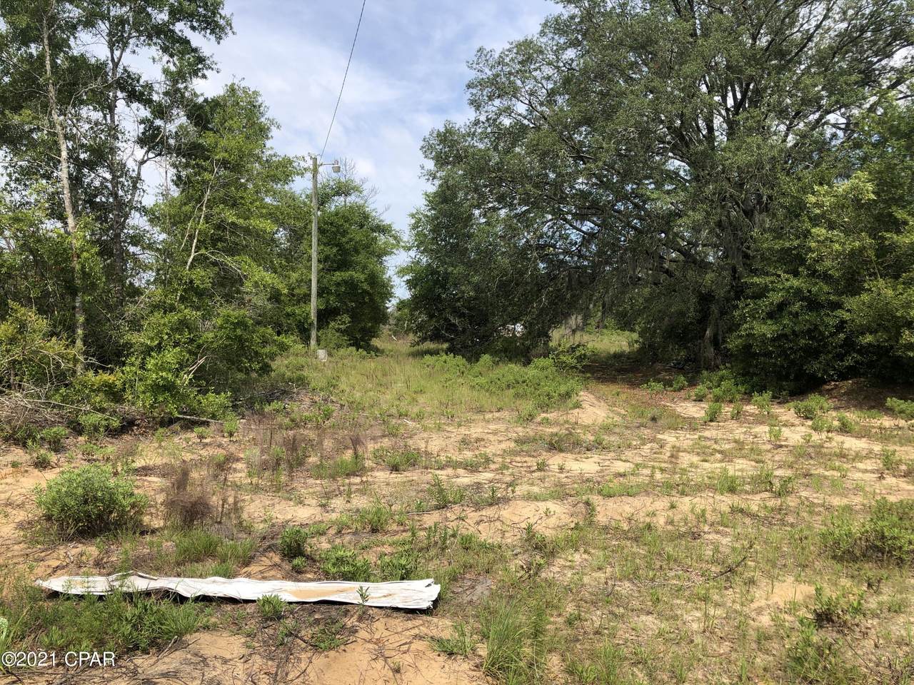 20533 Deep Springs Road - Photo 1