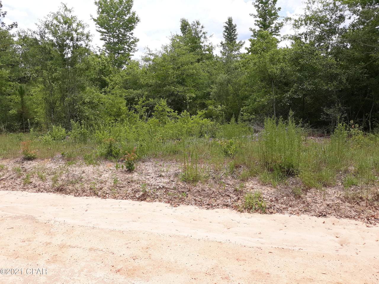 0 Olivia Drive - Photo 1