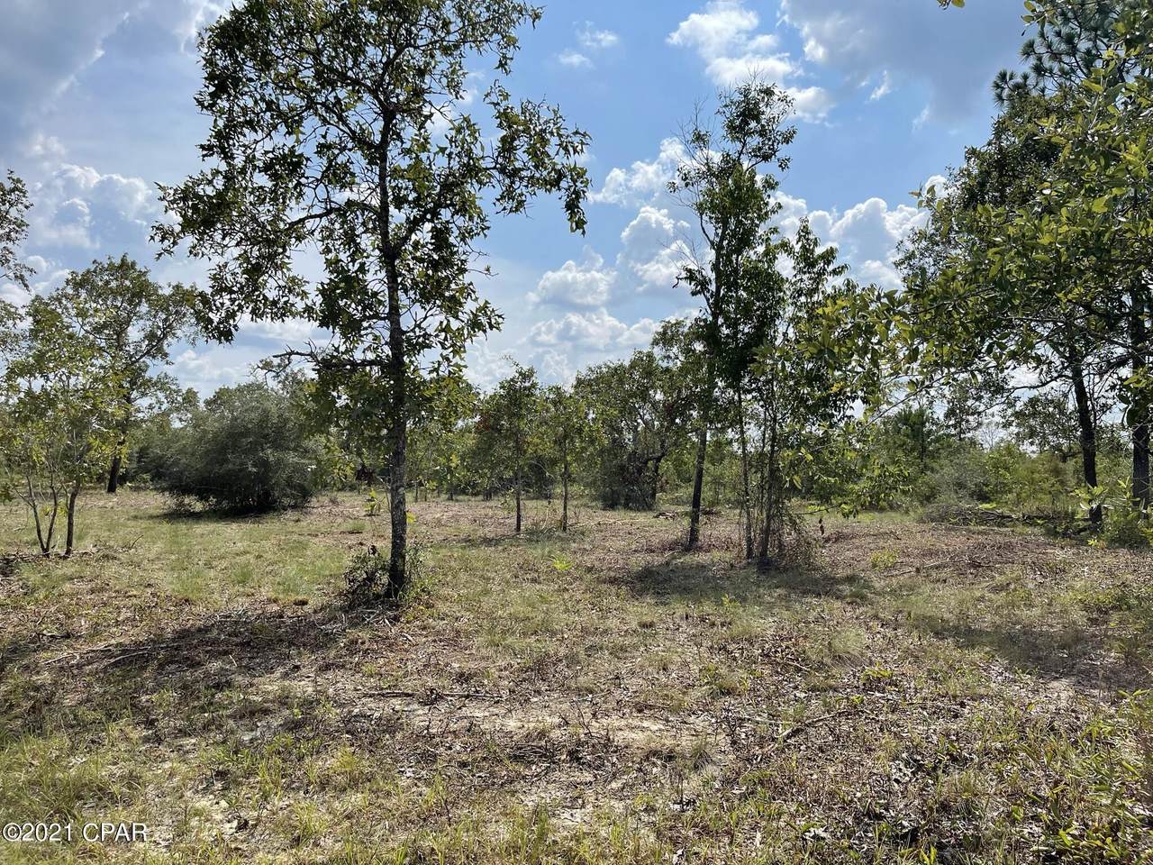 0 Salina Avenue - Photo 1