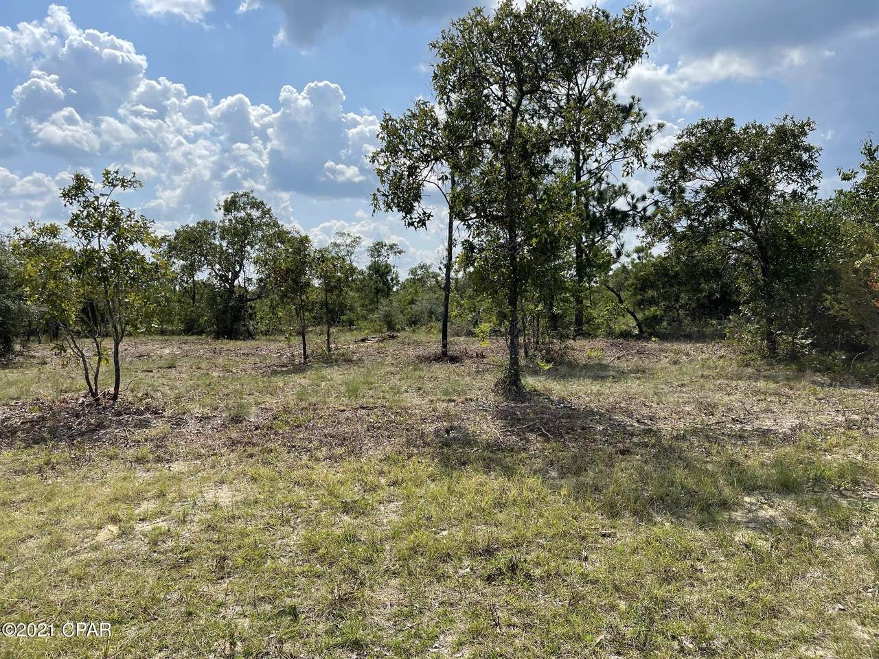 00 Salina Avenue - Photo 1