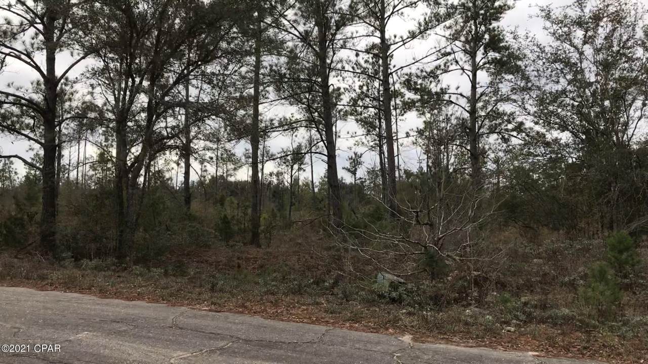 785 Dorcas Road - Photo 1