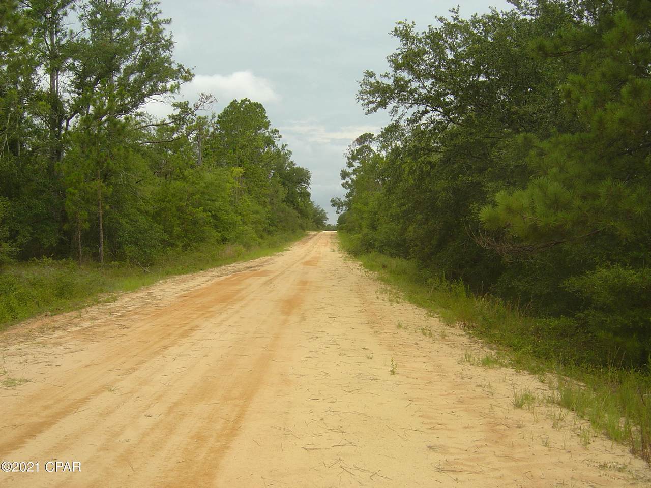 00 Dorcas - Photo 1