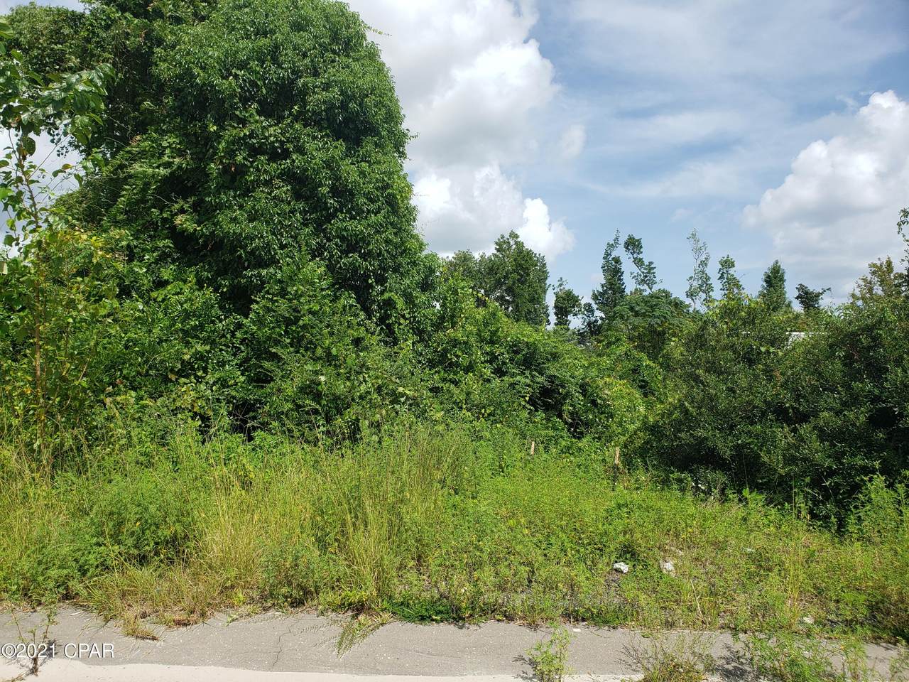 202 Kraft Avenue - Photo 1