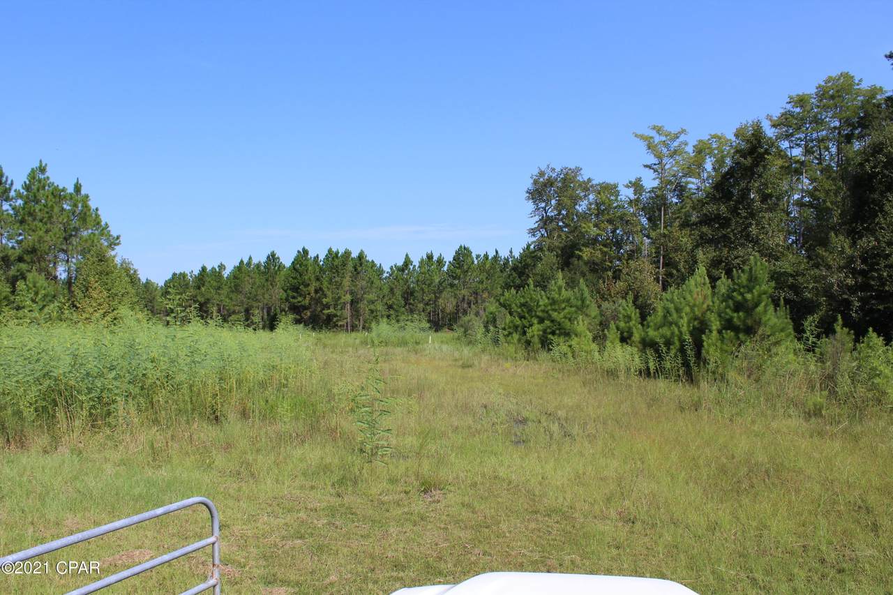 TBD Pioneer Road - Photo 1