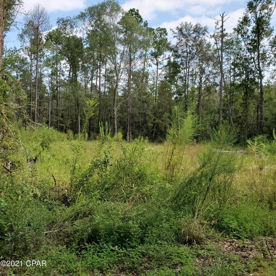 2848 Prospect Road - Photo 1