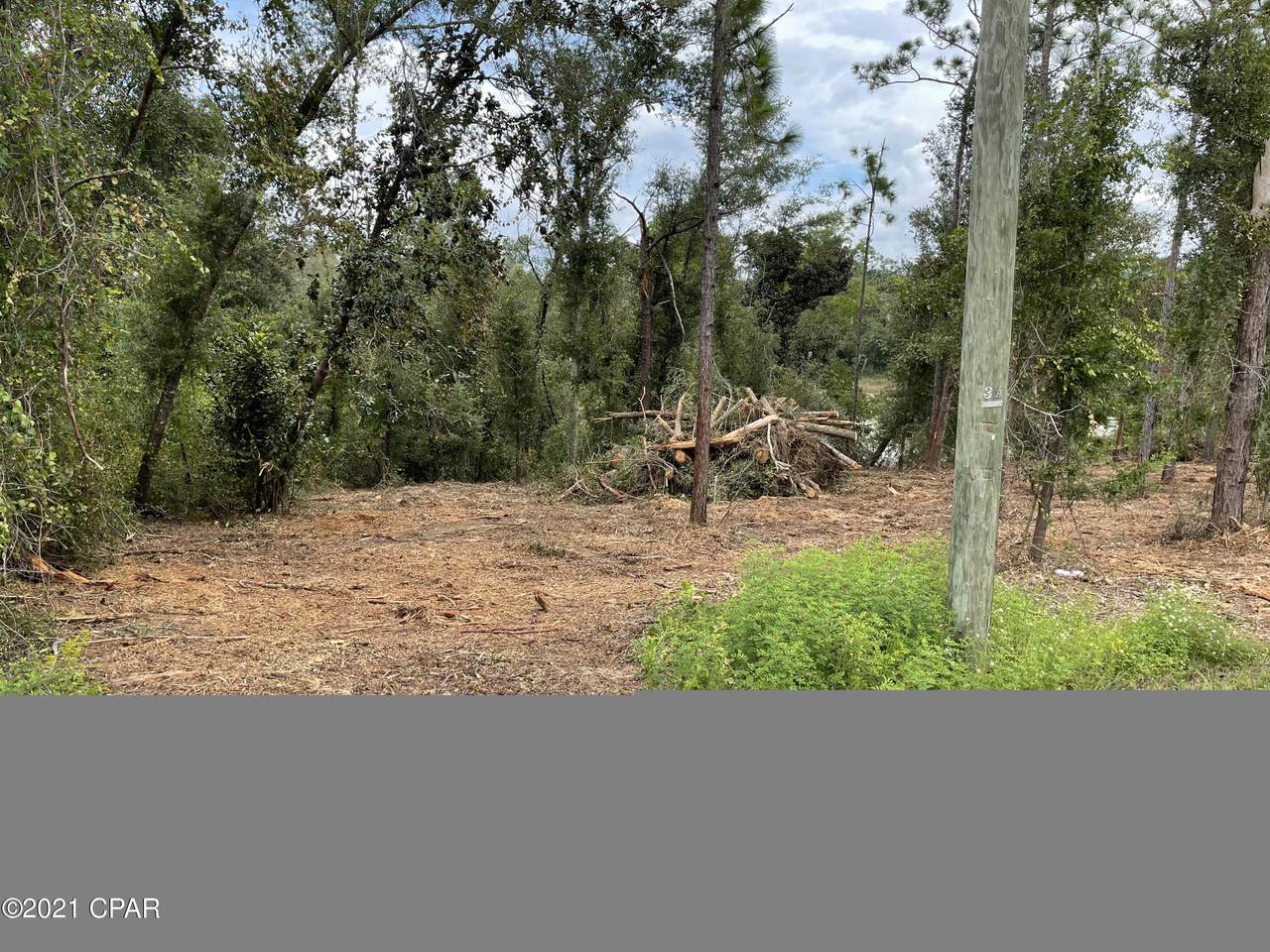 000 Compass Lake Drive - Photo 1