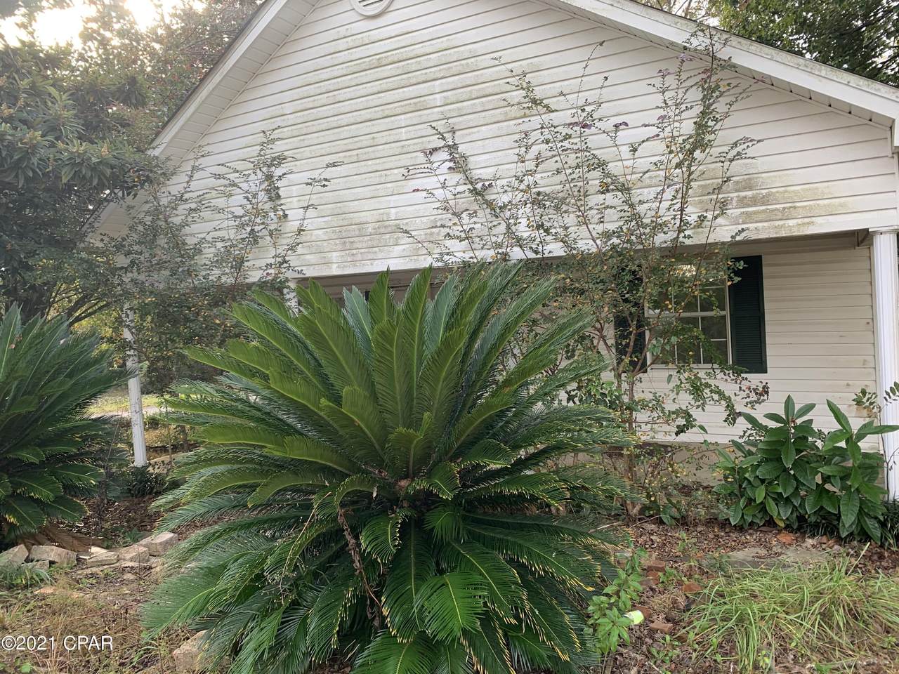 312 Evans Avenue - Photo 1