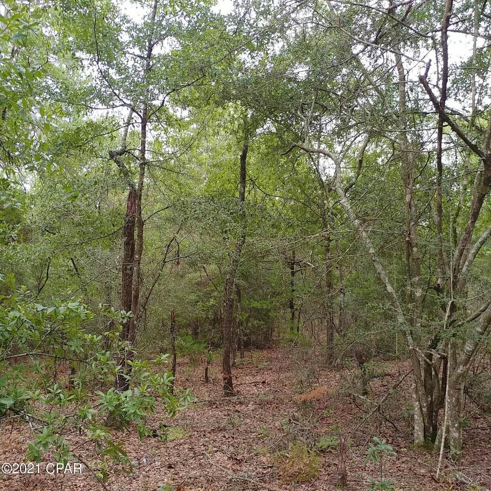 Lot 17 Violet Lane - Photo 1