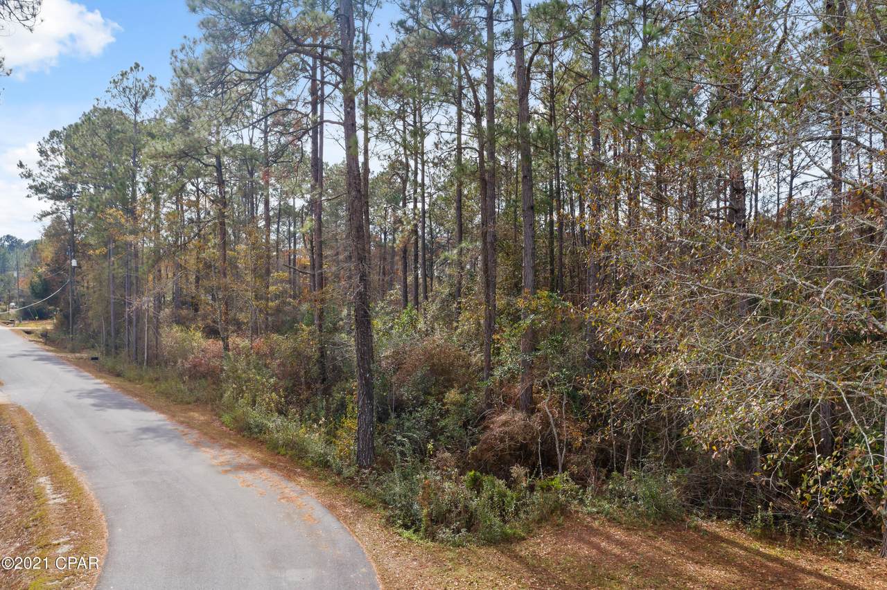 XXX Wedgewood Drive - Photo 1