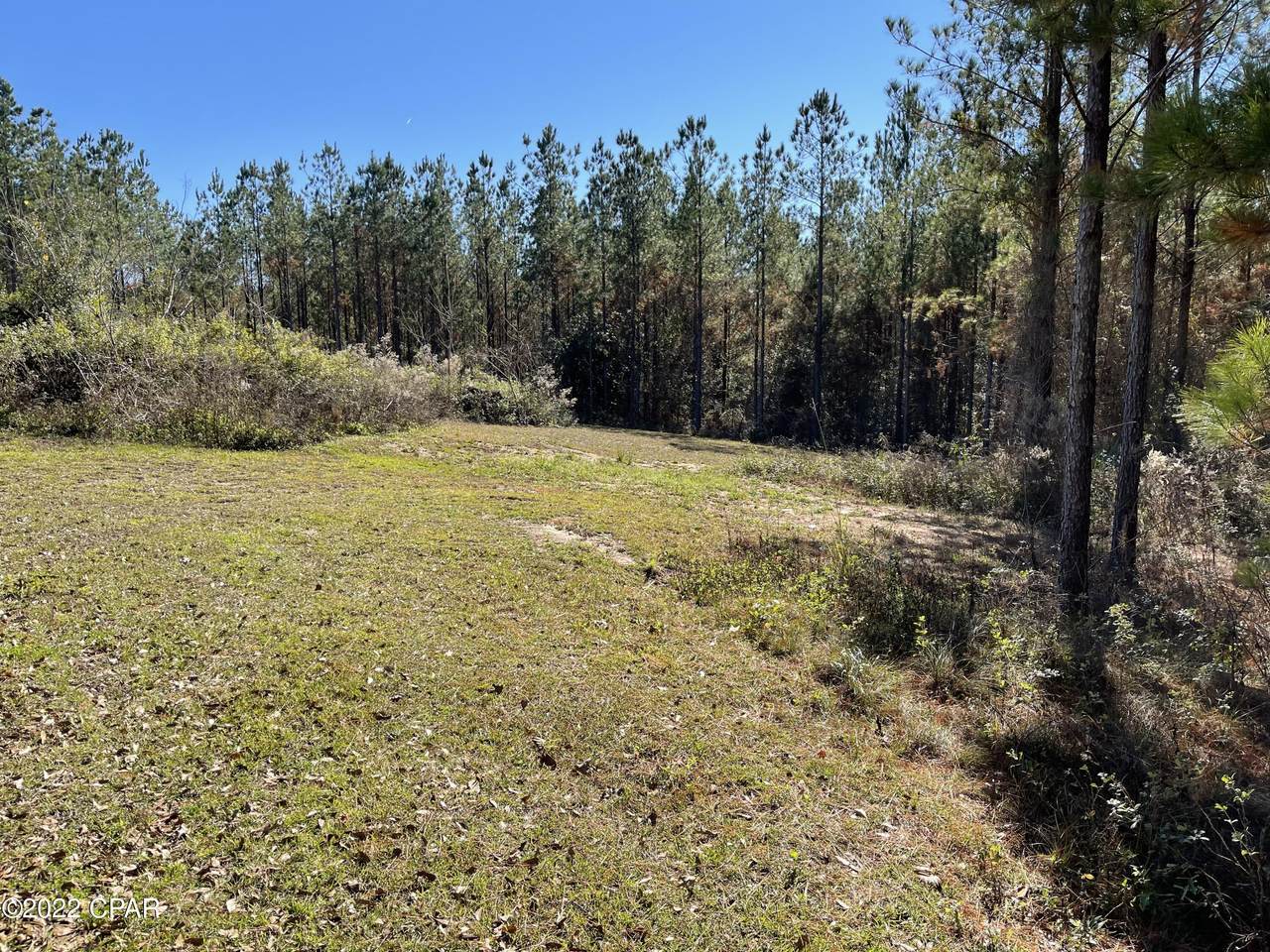 0000 Lincoln Drive - Photo 1