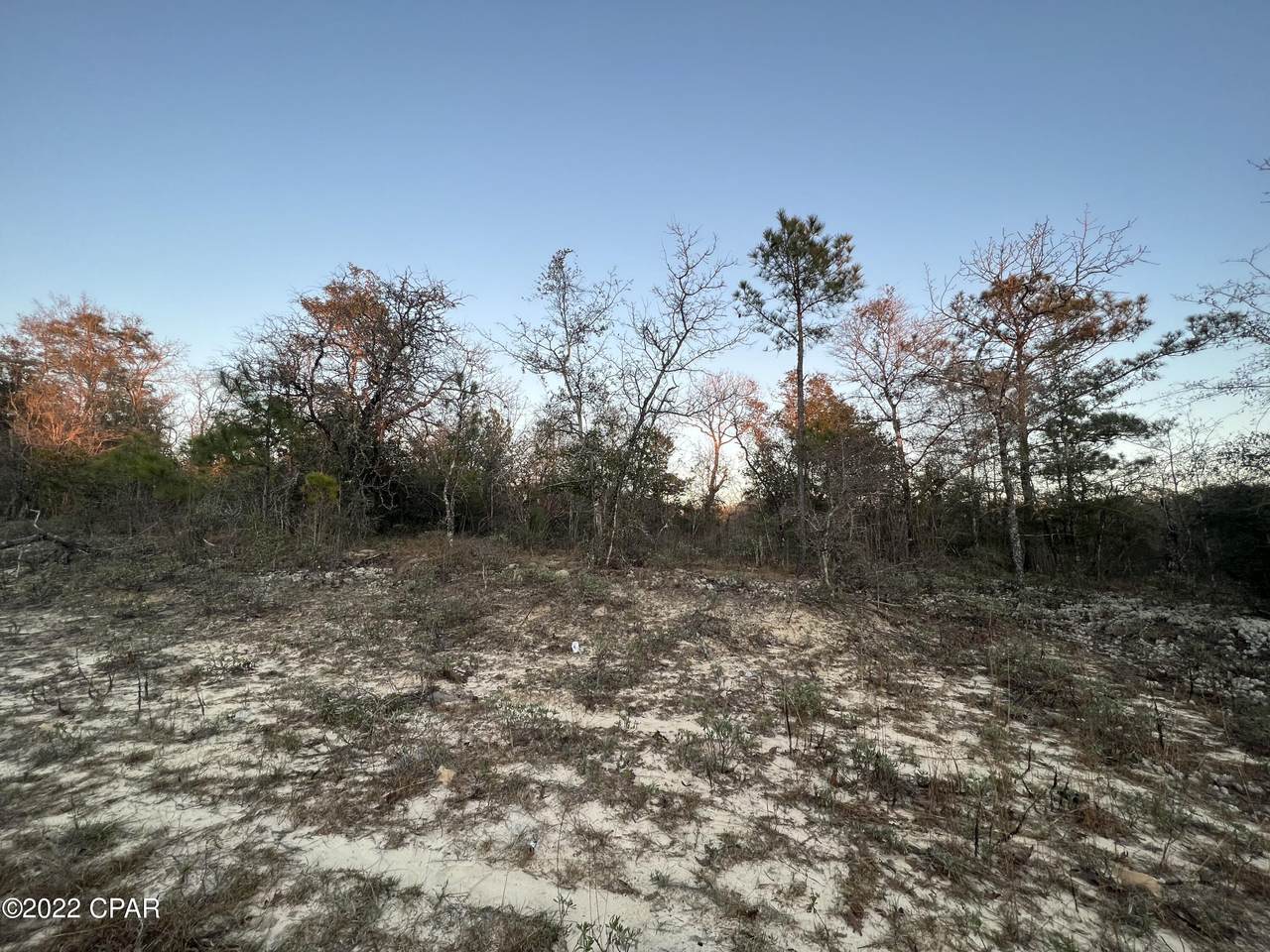 Lot #9 Etta - Photo 1