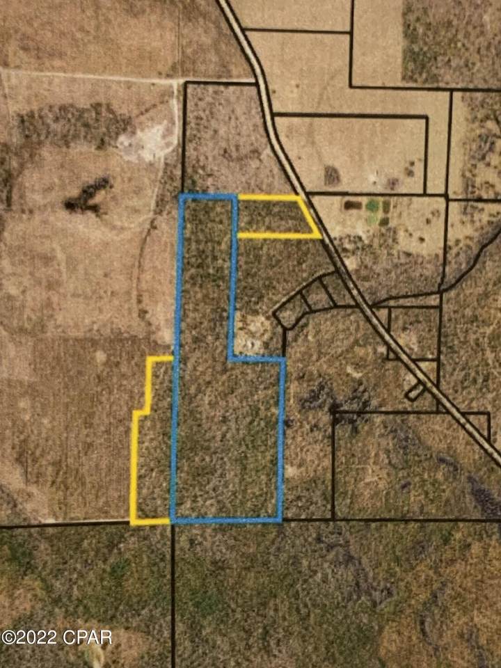 00000 Co Rd 379 - Photo 1