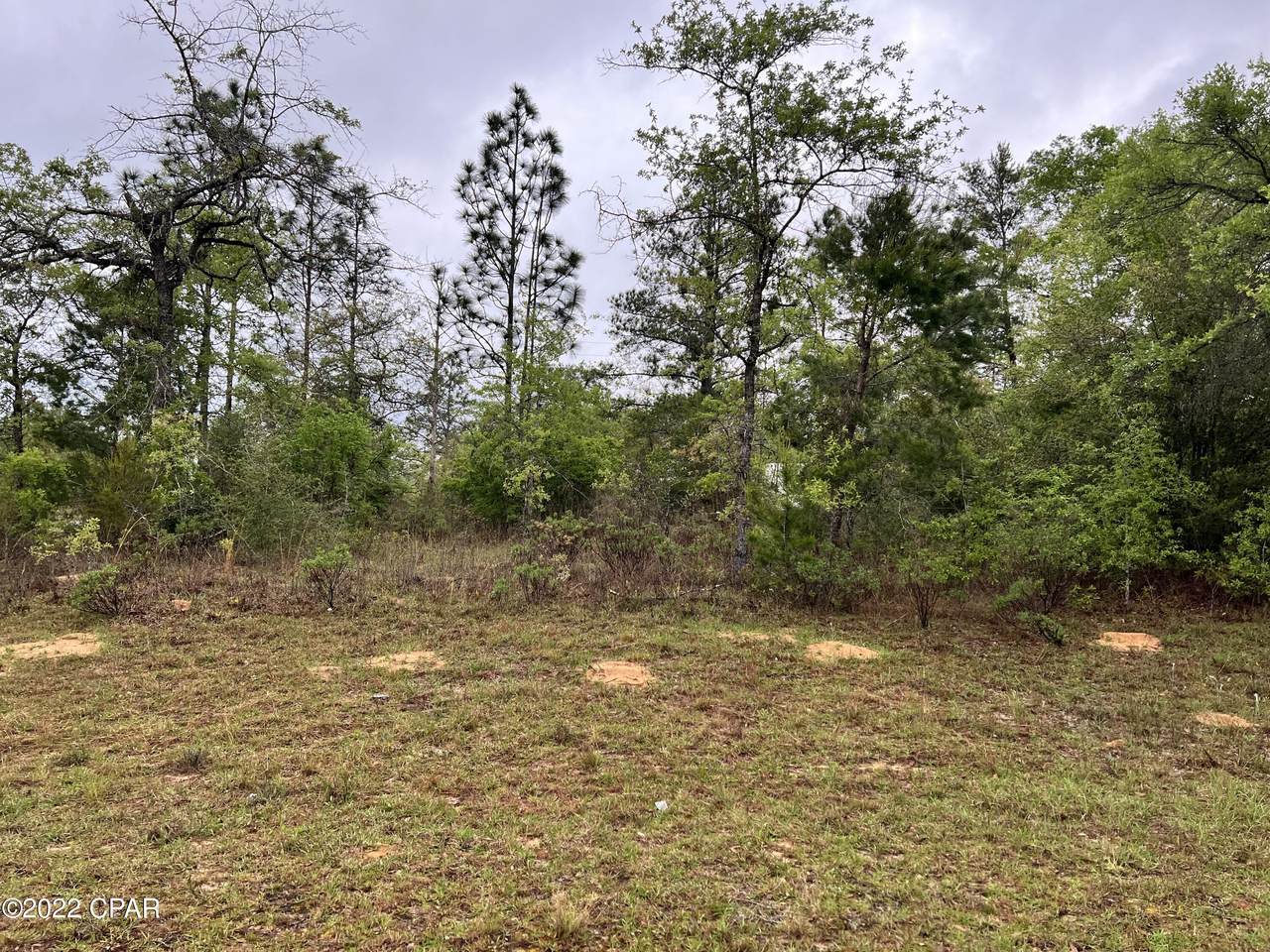 Lot 1 Bricknell Avenue - Photo 1