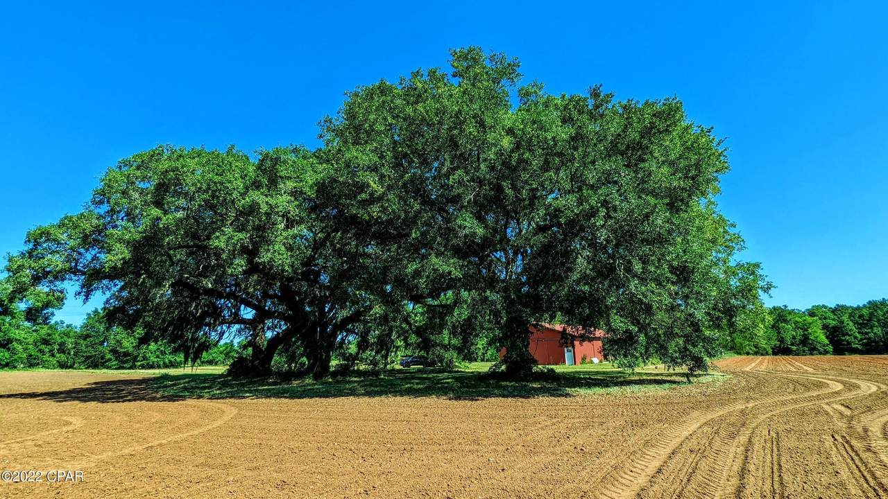 2554 Overpass Road - Photo 1